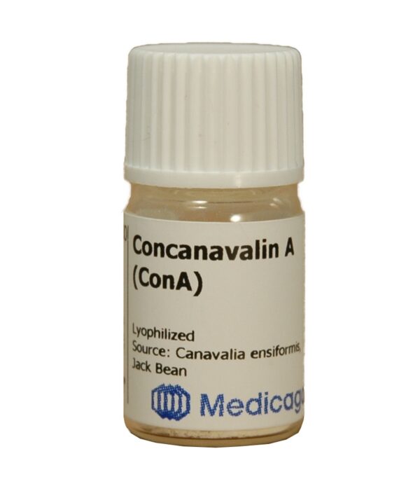 Concanavalin A lectin (Con A)