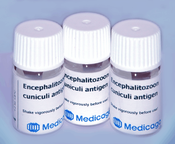 Encephalitozoon cuniculi (EC) whole cell antigen suspension