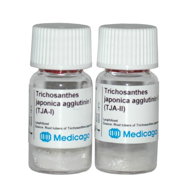Trichosanthes japonica agglutinin II (TJA-II)