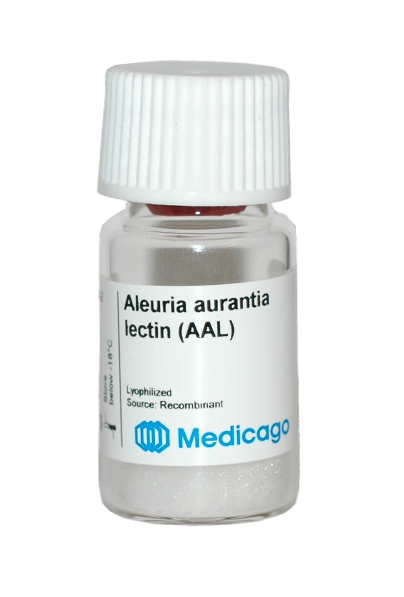 Aleuria aurantia lectin (AAL) - Image 1