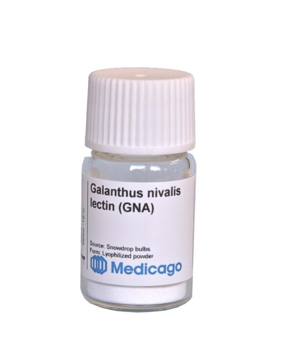 Galanthus nivalis lectin (GNA)