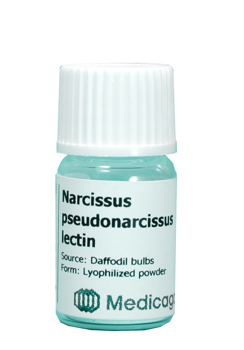 Narcissus pseudonarcissus lectin (NPA/NPL) - Image 1