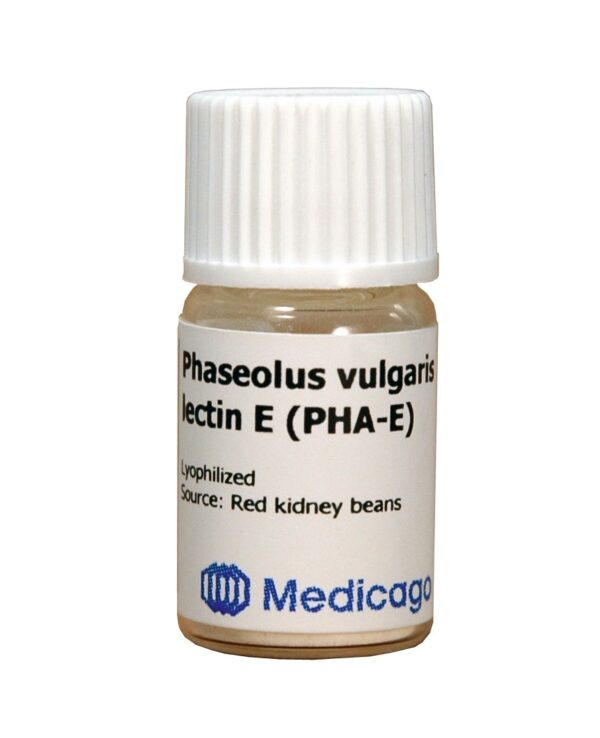 Phaseolus vulgaris lectin E (PHA-E)