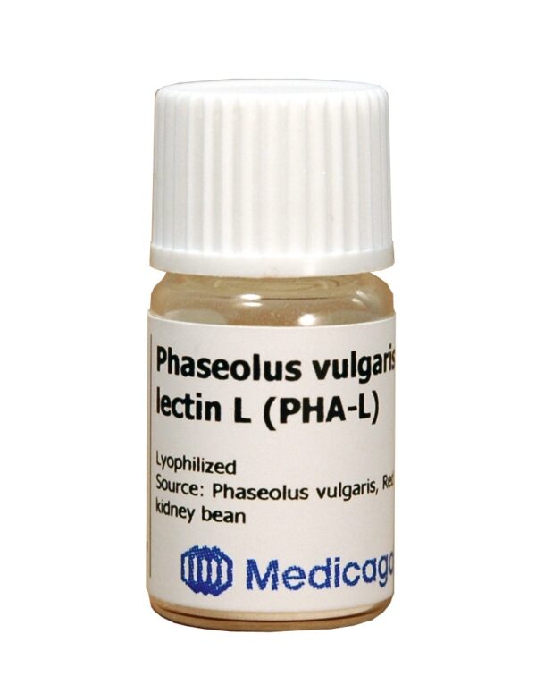 Phaseolus vulgaris lectin L (PHA-L)