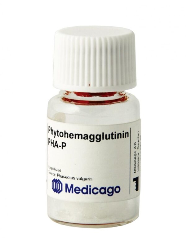 Phaseolus vulgaris lectin P (PHA-P), E-subunit enhanced