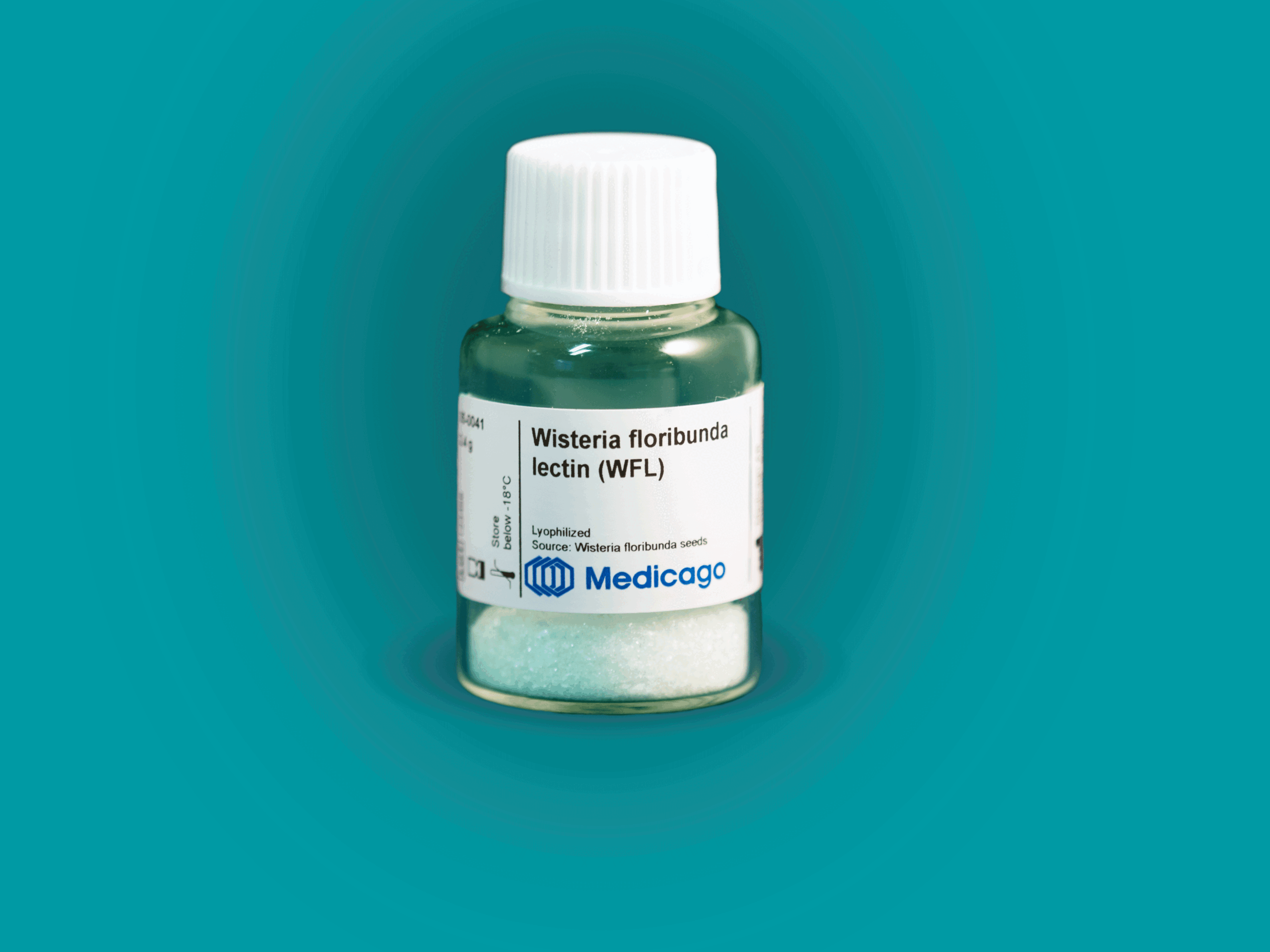 Wisteria floribunda lectin (WFL) - Image 1