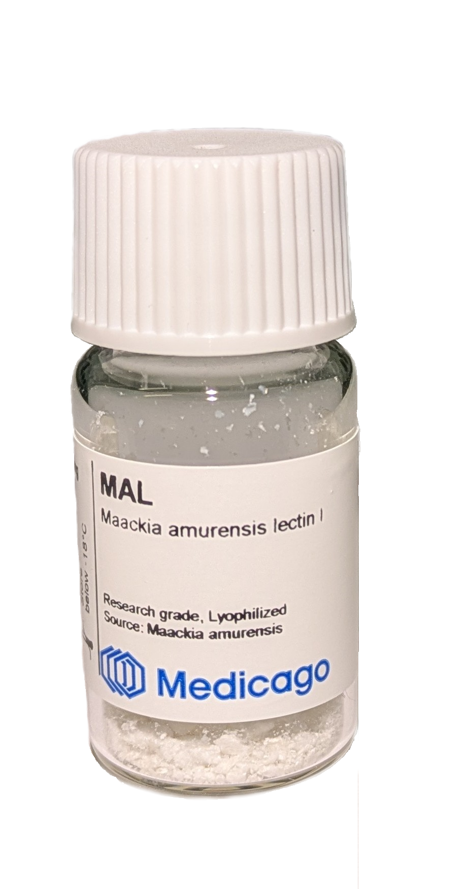 Maackia amurensis lectin (MAL) - Image 1